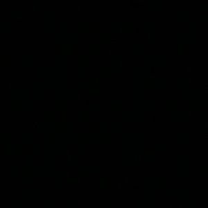 Meet your Posher, Sophia